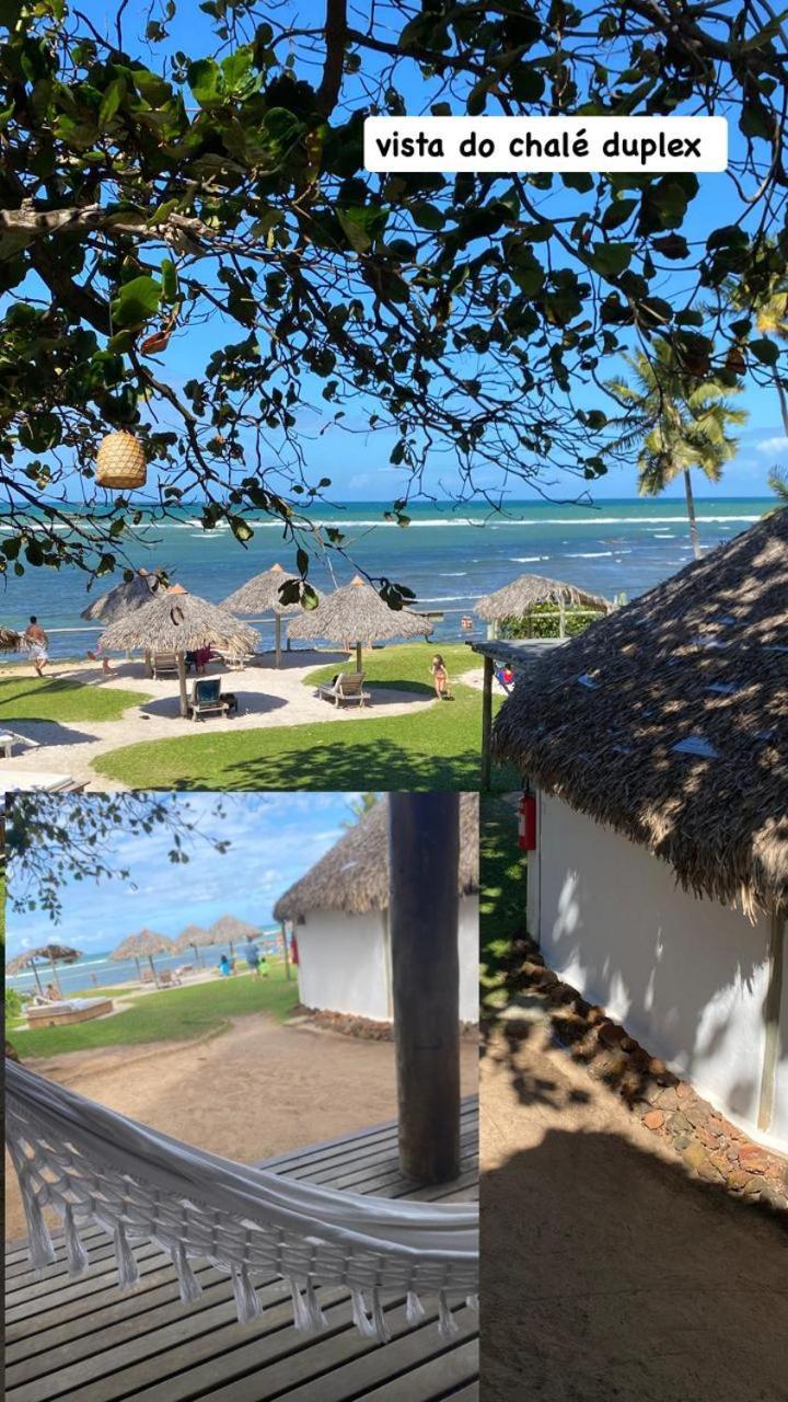 Pousada Farol Das Tartarugas Praia do Forte Buitenkant foto